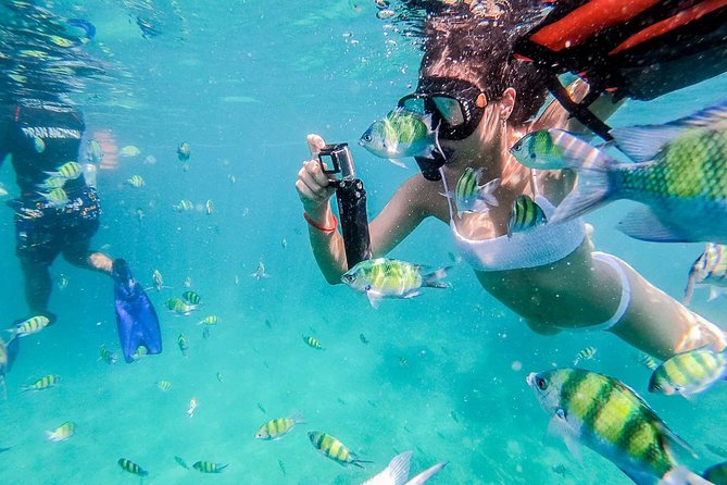 All-in Phi Phi, Maiton, MayaBay, Khai, Bamboo islands Tour - Speedboat Day Trip From Phuket: What You’re Really Signing Up For