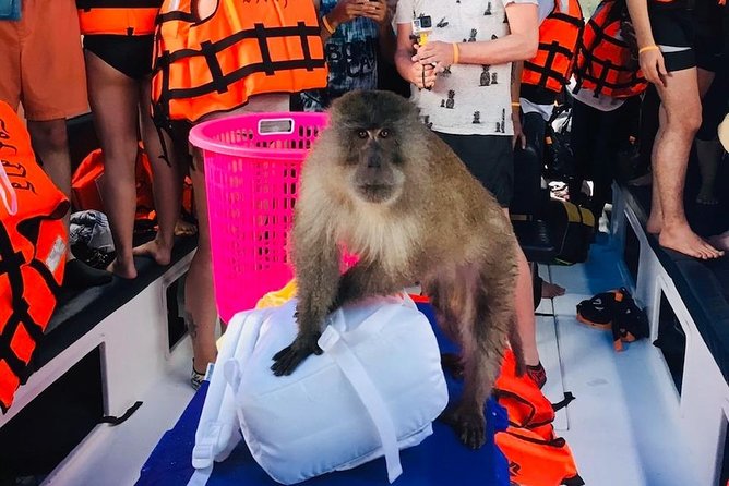 All-in Phi Phi, Maiton, MayaBay, Khai, Bamboo islands Tour - Included Lunch on Phi Phi Don: Halal, Vegetarian, and Zero-Scramble