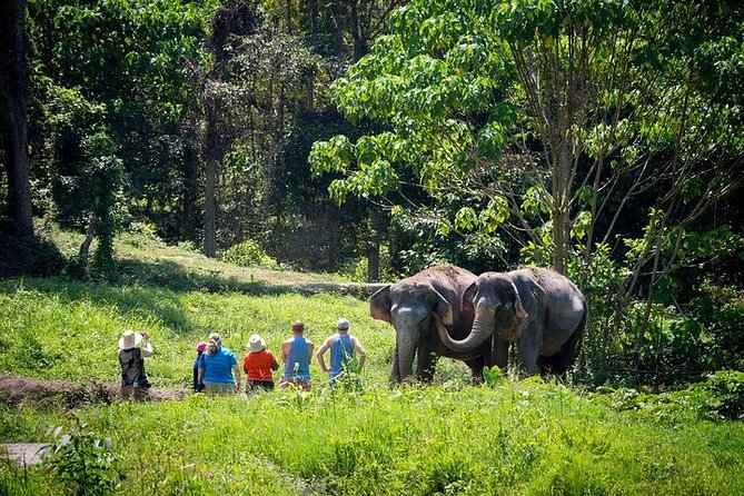 An Afternoon with the Elephants at Phuket Elephant Sanctuary - The 1:30 pm flow: what happens during your ~3.5 hours
