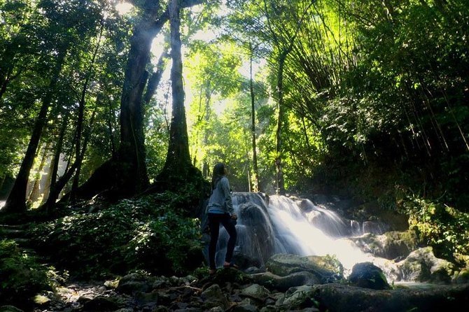 Bamboo Rafting, ATV Riding and Jungle Tour From Phuket - Small-group size and guides: why a 10-person cap matters