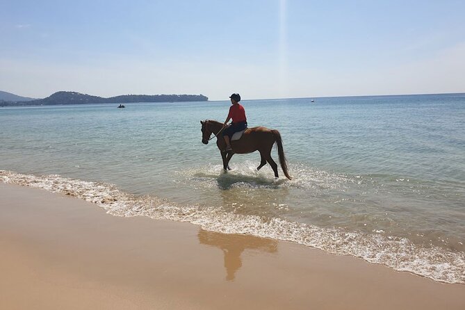 Beach Horse Riding Activity in Phuket - Small group riding: why it matters on a beach