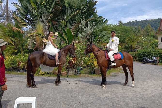 Beach Horse Riding Activity in Phuket - Price and value: is $71 fair for 1 hour?