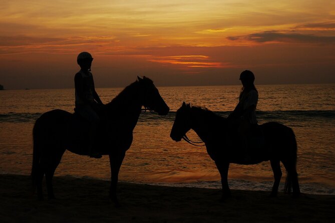 Beach Horse Riding At Sunset In Phuket - Horse welfare: what to watch before you commit