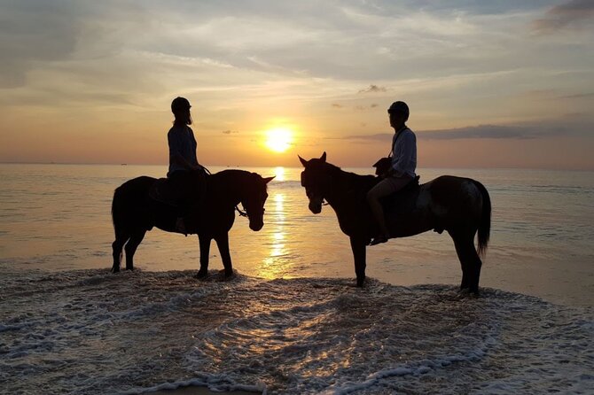 Beach Horse Riding At Sunset In Phuket - Getting set up at Kamala Horse Riding Club