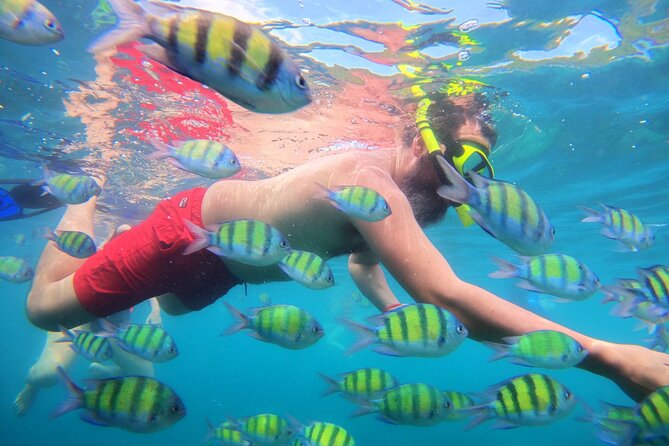 Best of Phi Phi Islands Snorkeling Tour from Phuket - Snorkeling reality check: gear helps, but conditions decide