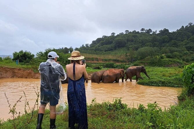 Elephant Nature Experience with Lunch at Bukit Elephant Park - Elephant Nature at Bukit Elephant Park: Why this is a different kind of Phuket day