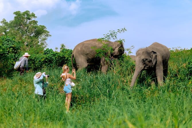 Elephant Nature Experience with Lunch at Bukit Elephant Park - Safety rules that shape the experience (and your photos)