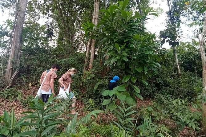 Elephant Sanctuary Small Group Tour in Phuket - Key Things That Make This Elephant Tour Work