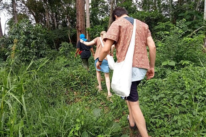 Elephant Sanctuary Small Group Tour in Phuket - The forest walk: your best chance to see elephants behaving normally