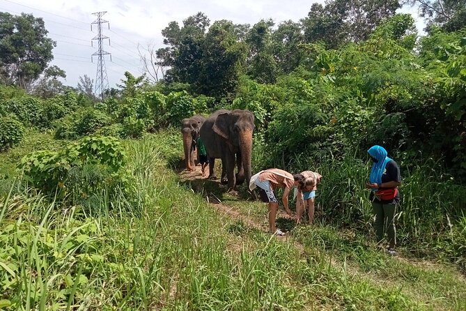 Elephant Sanctuary Small Group Tour in Phuket - Timing and logistics: 4 hours that feel full, not frantic
