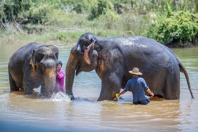 Elephant Sanctuary Small Group Tour in Phuket - Price and value: is $97.83 a fair deal in Phuket?