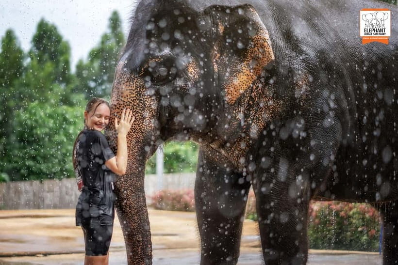 From Phuket: Elephant Jungle Sanctuary Feed and Shower Trip - Quick Hits Before You Go