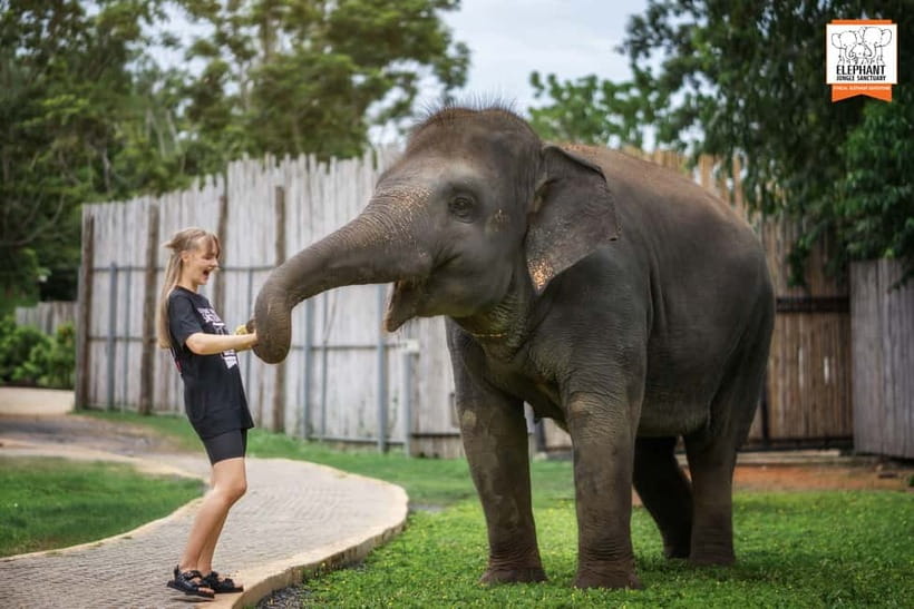 From Phuket: Elephant Jungle Sanctuary Feed and Shower Trip - Getting to Elephant Jungle Sanctuary Phuket (and finding it fast)