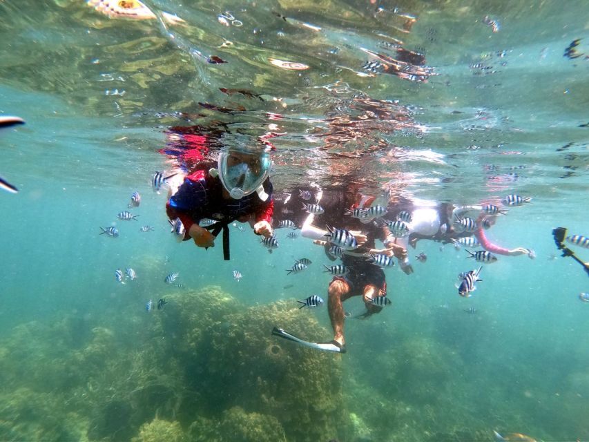 From Phuket: Phi Phi, Maya Bay, & Khai Islands Premium Trip - Price and What’s Really Included (Plus the National Park Fee)