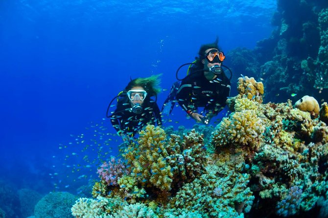 Full-Day Beginner Scuba Course with Private Tuition, Racha Yai - The Gear Day: What’s Included and How It Helps You Relax