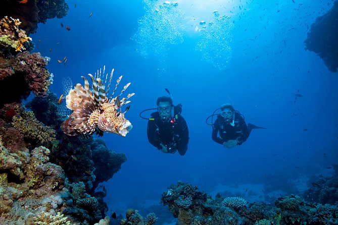 Full-Day Beginner Scuba Course with Private Tuition, Racha Yai - Meals Matter: Breakfast, Buffet Lunch, and Snacks