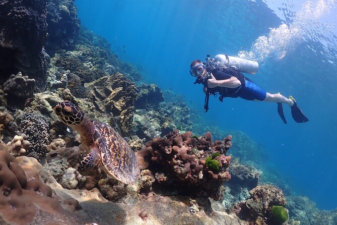 Full-Day Koh Phi Phi Scuba Diving Course from Phuket - Who should book this Koh Phi Phi scuba course?