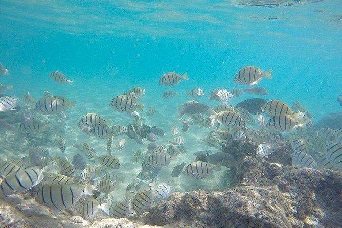 Full-Day Racha Noi and Racha Yai Snorkeling from Phuket - Koh Racha Yai: the third swim that can be more challenging