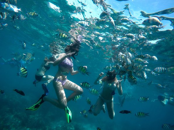 Full-Day Racha Noi and Racha Yai Snorkeling from Phuket - Price and value: what you’re really paying for at about $104 per person