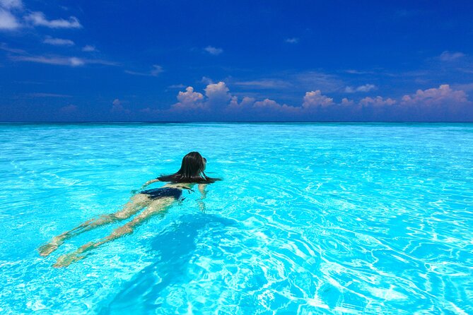 Full-day Tour to the Similan Islands by Speedboat from Khao Lak - Similan Islands from Khao Lak: the big reason this works