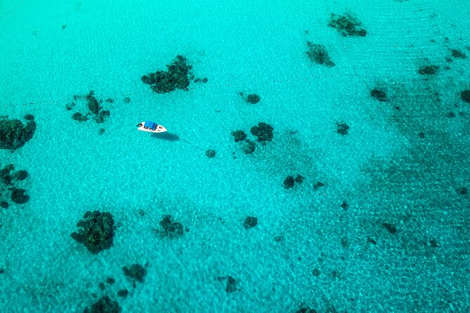 Full-day Tour to the Similan Islands by Speedboat from Khao Lak - Ko Miang (Similan Island 4): lunch on Thai buffet mode