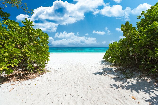 Full-day Tour to the Similan Islands by Speedboat from Khao Lak - Meals included all day: what you get, and why it matters
