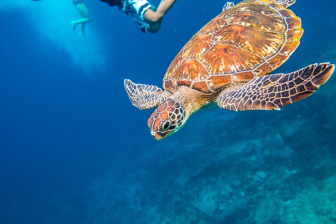 Full-day Tour to the Similan Islands by Speedboat from Khao Lak - What to pack so the day feels easy