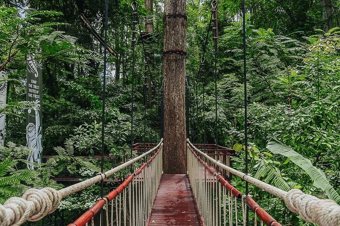 Hanuman World Zipline & Skywalk Phuket - Skywalks and sky bridges: looking out without needing to hike