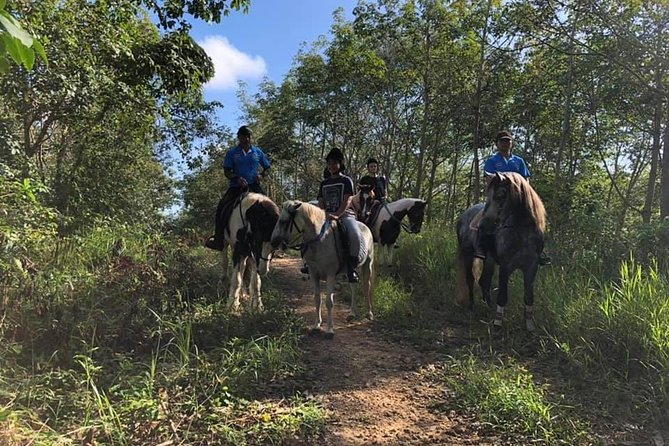 Horseback Riding 1 hour trail - Views Over Chalong Bay and Bang Wad Reservoir: When the Scenery Hits