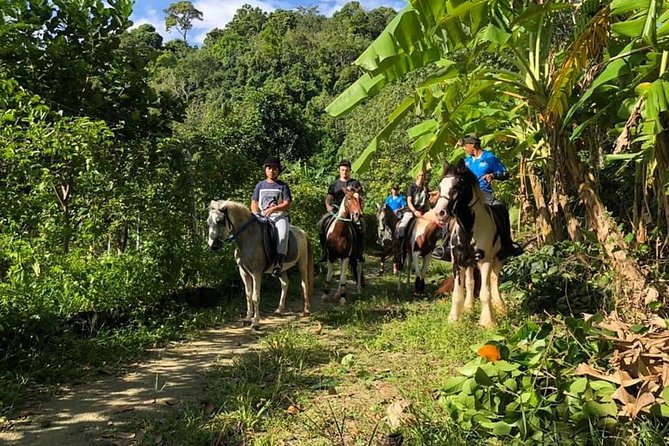 Horseback Riding 1 hour trail - Timing for Phuket Heat: Ride Earlier or Later, Not Midday