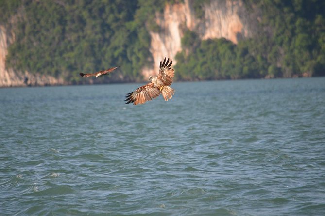 John Gray's Adventure Hong by Starlight in Phang Nga Bay - Loy Krathong on the water: making your Krathong and watching it light up
