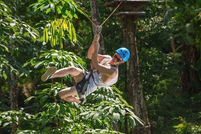 Jungle Xtreme Adventures and Zipline - The Course: From Platforms to Ziplines (And Why It’s Not Just a Ride)
