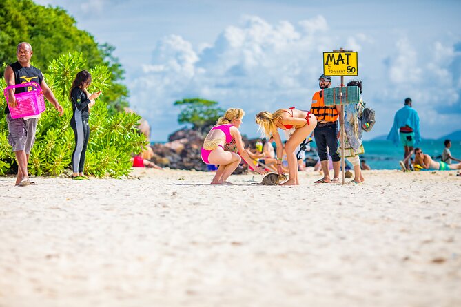 Khai Island Half Day Tour From Phuket - What the guide can do for your snorkeling day