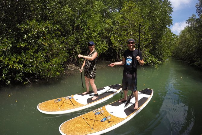 Mangroves SUP Tour Phuket - Snacks, Water, and the Small Comfort Wins