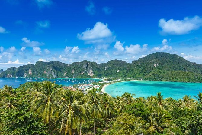 Maya Beach, Bamboo Island & Phi Phi Islands Tour From Phuket - Pileh Bay and Ko Phi Phi Le: emerald swims with limited windows