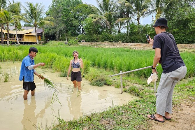 Old Phuket Farm Ticket - Countryside Local Life Culture - Rubber Trees and the Rhythm of Tapping Sap