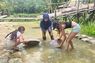 Old Phuket Farm Ticket - Countryside Local Life Culture - Meeting the Day: Buffaloes, Then the Farm Flow