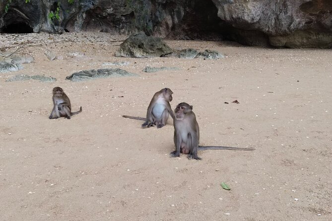 Phang Nga Bay Island Boat Tour By Speedboat By Phuket Sail Tours - Speedboat pace: fast cruising with a small-group feel