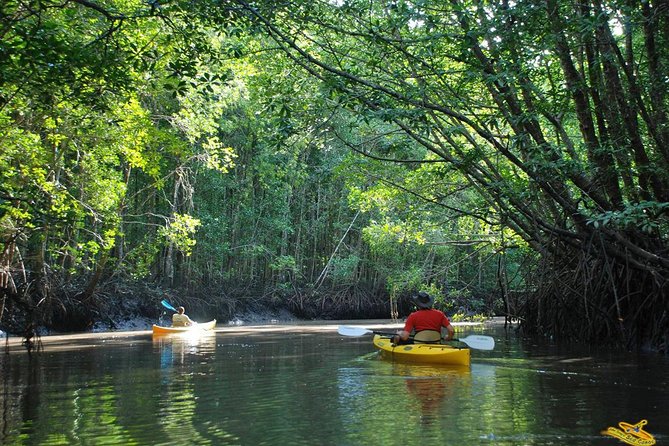 Phang Nga Bay Starlight by John Gray Sea Canoe - John Gray Sea Canoe style: comfortable boat, real guidance