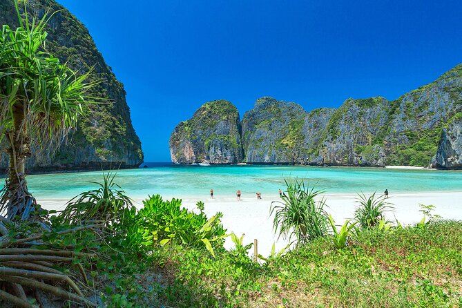 Phi Phi & Bamboo Island Full Day Tour by Premium Speed-Catamaran - Bamboo Island: The calmer finish on white sand