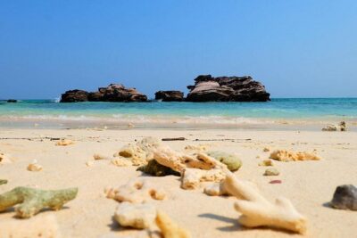 Phi Phi Islands One Day Tour by Speedboat From Phuket - Monkey Beach and Ko Phi Phi Don: Short Visits That Still Work