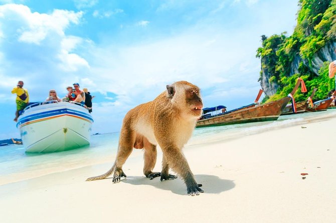 Phi Phi , Khai & Maya : Unforgettable Island Hopping by Speedboat - Ko Phi Phi Don: snorkeling timing, Arida Restaurant for non-snorkelers, then beach time