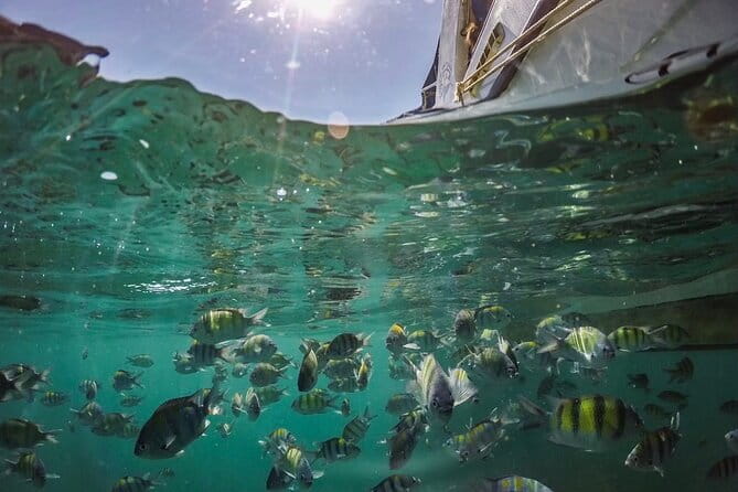 Phi Phi with Maya and Bamboo Island Day Trip by Speedboat - Stop 3: Ko Phi Phi Don — Lunch That Keeps You Going