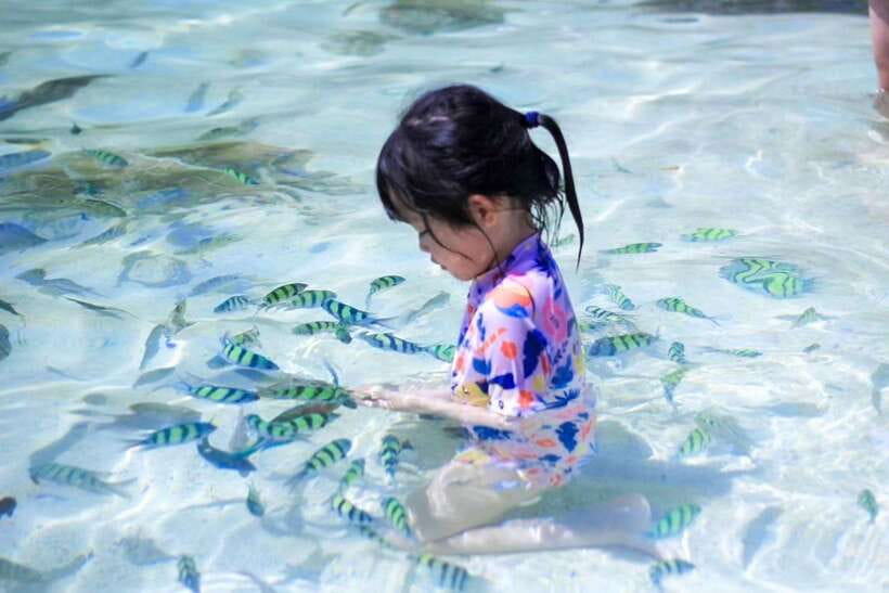 Phuket: 3 Khai Islands Relax & Snorkeling Half/Full Day Tour - Food, Drinks, and That Easy-Goes Pace You’ll Appreciate