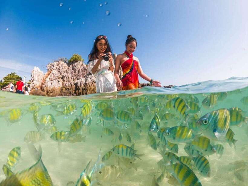 Phuket: 3 Khai Islands Snorkeling Tour - Khai Nai (Cat Island): Beach Reset and the Cats Factor