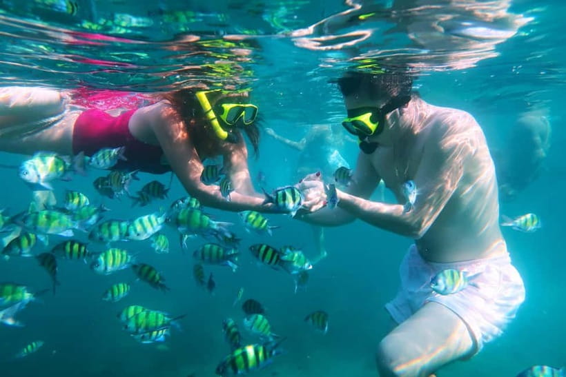 Phuket: 3 Khai Islands Speedboat Tour- Snorkeling & Relaxing - Khai Nai: where the snorkeling time matters most