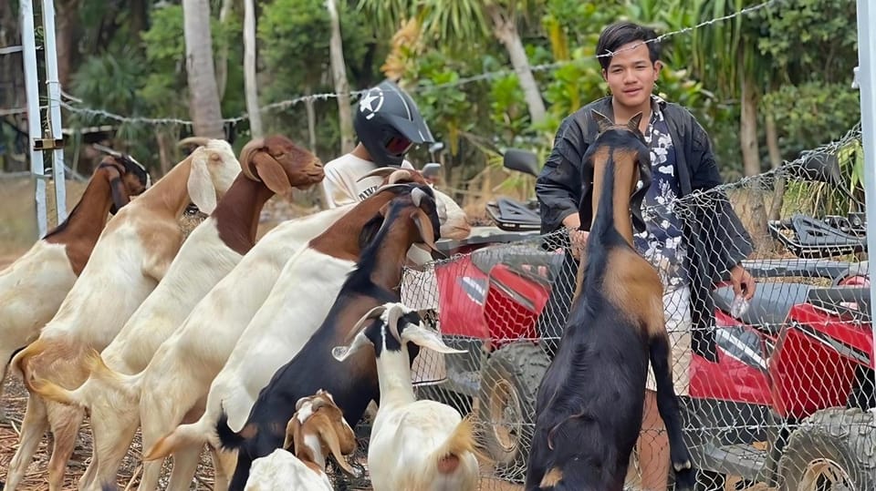 Phuket: ATV Ride with Secret Sea Viewpoints and Swing - Price and value: what $37 really covers