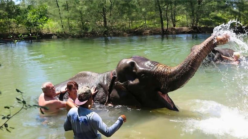 Phuket: Bamboo Rafting & ATV Ride (Optional) - Sea Turtle Conservation Centre: why this stop matters