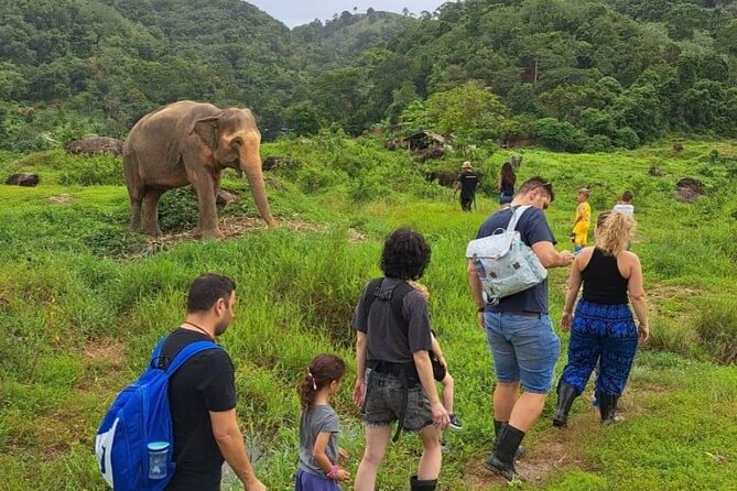 Phuket City Tour & Elephant Sanctuary – Town, Temple, Food & View - How this 6-hour Phuket mix actually works