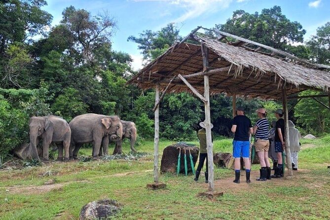 Phuket City Tour & Elephant Sanctuary – Town, Temple, Food & View - Lunch at Mee Ton Poe Restaurant 2: Hokkien-style noodles and choices